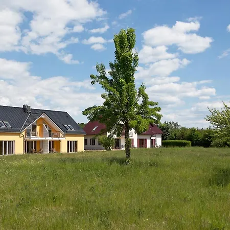 Mirabelle App 04 Dg R